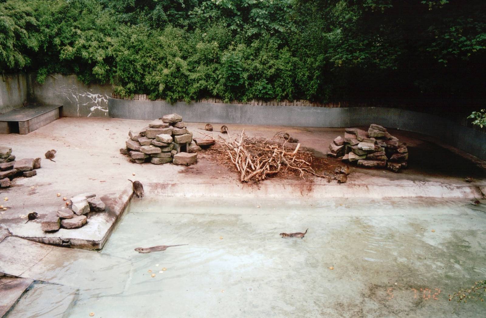 Copenhagen Zoo 2002 - Nutria exhibit