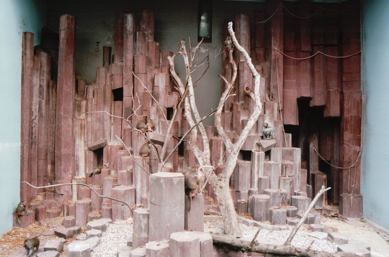 Copenhagen Zoo 2002 - The second of two Primate exhibits