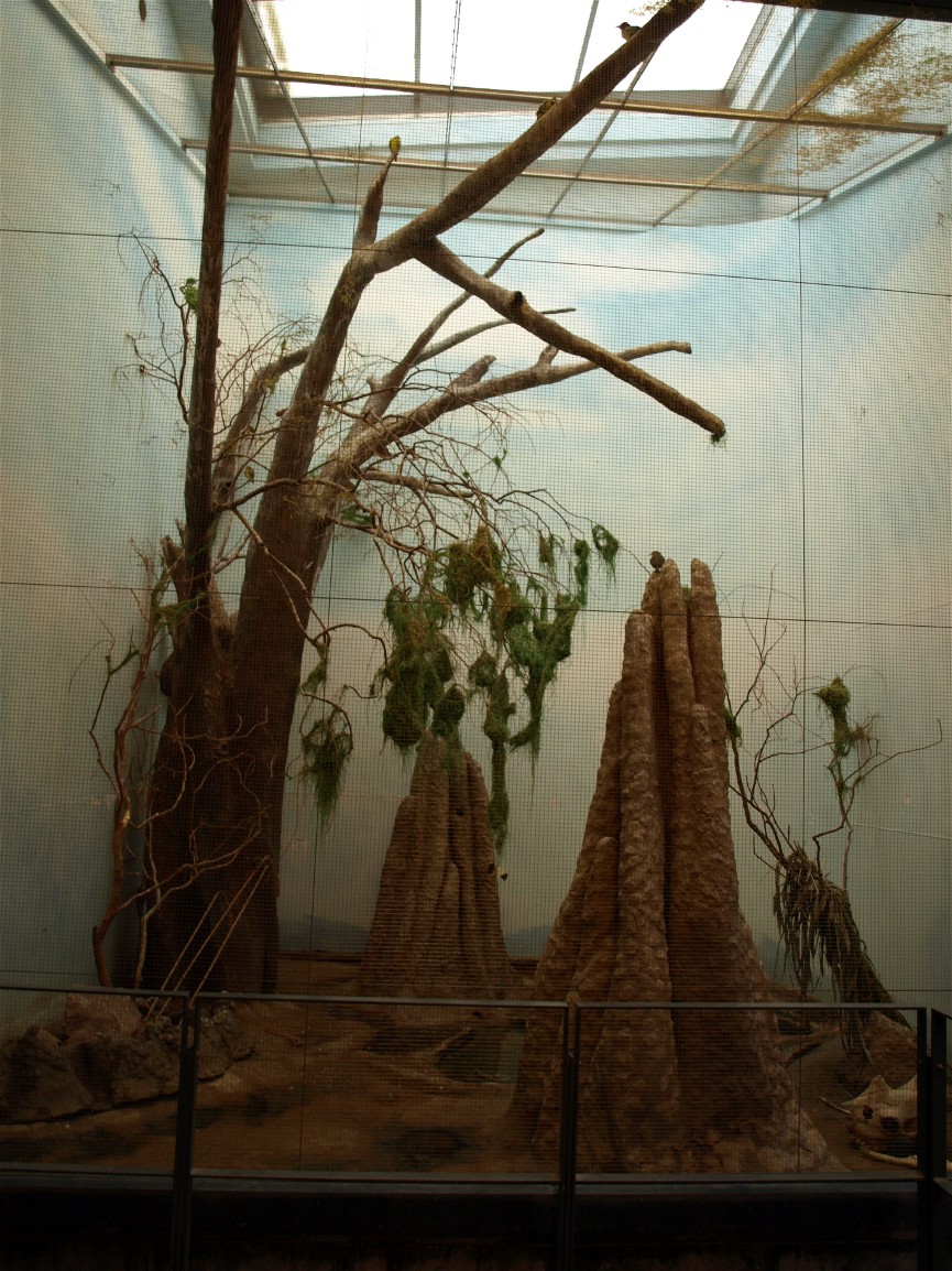 Copenhagen Zoo - African aviary