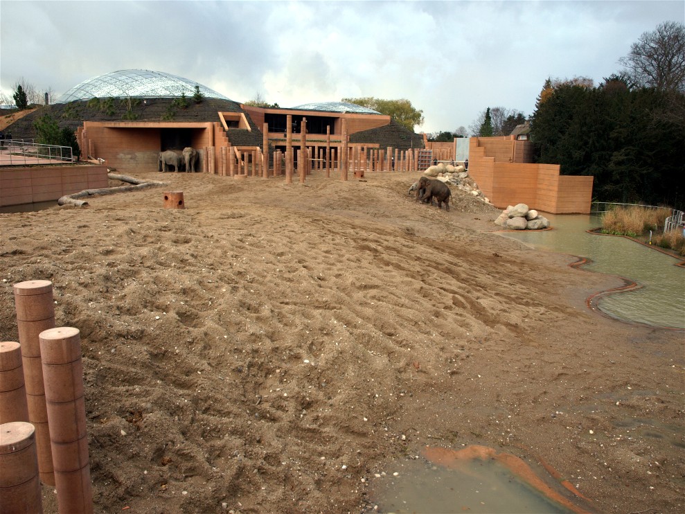 Copenhagen Zoo - Elephant enclosure
