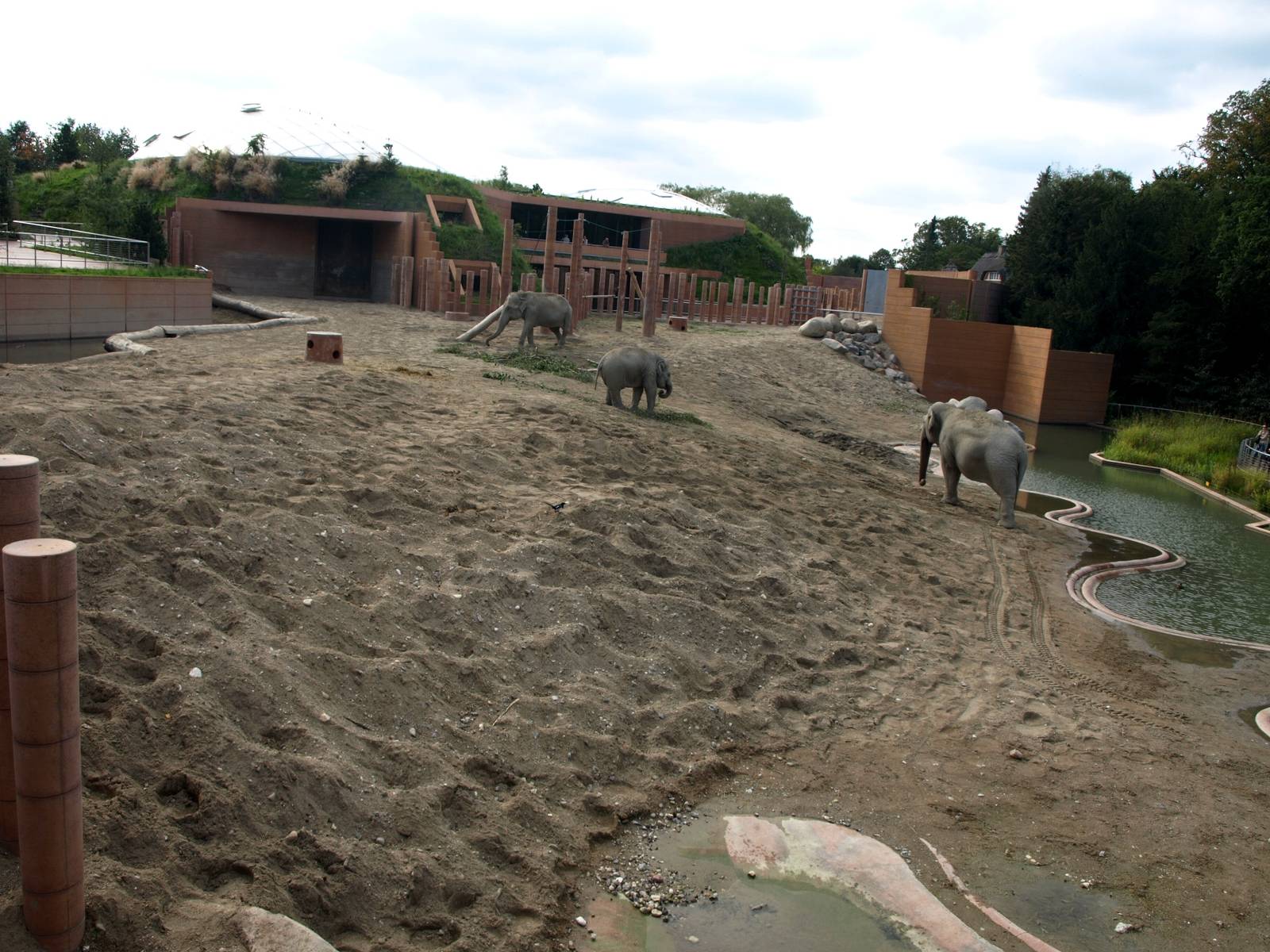Copenhagen Zoo - Elephant Enclosure
