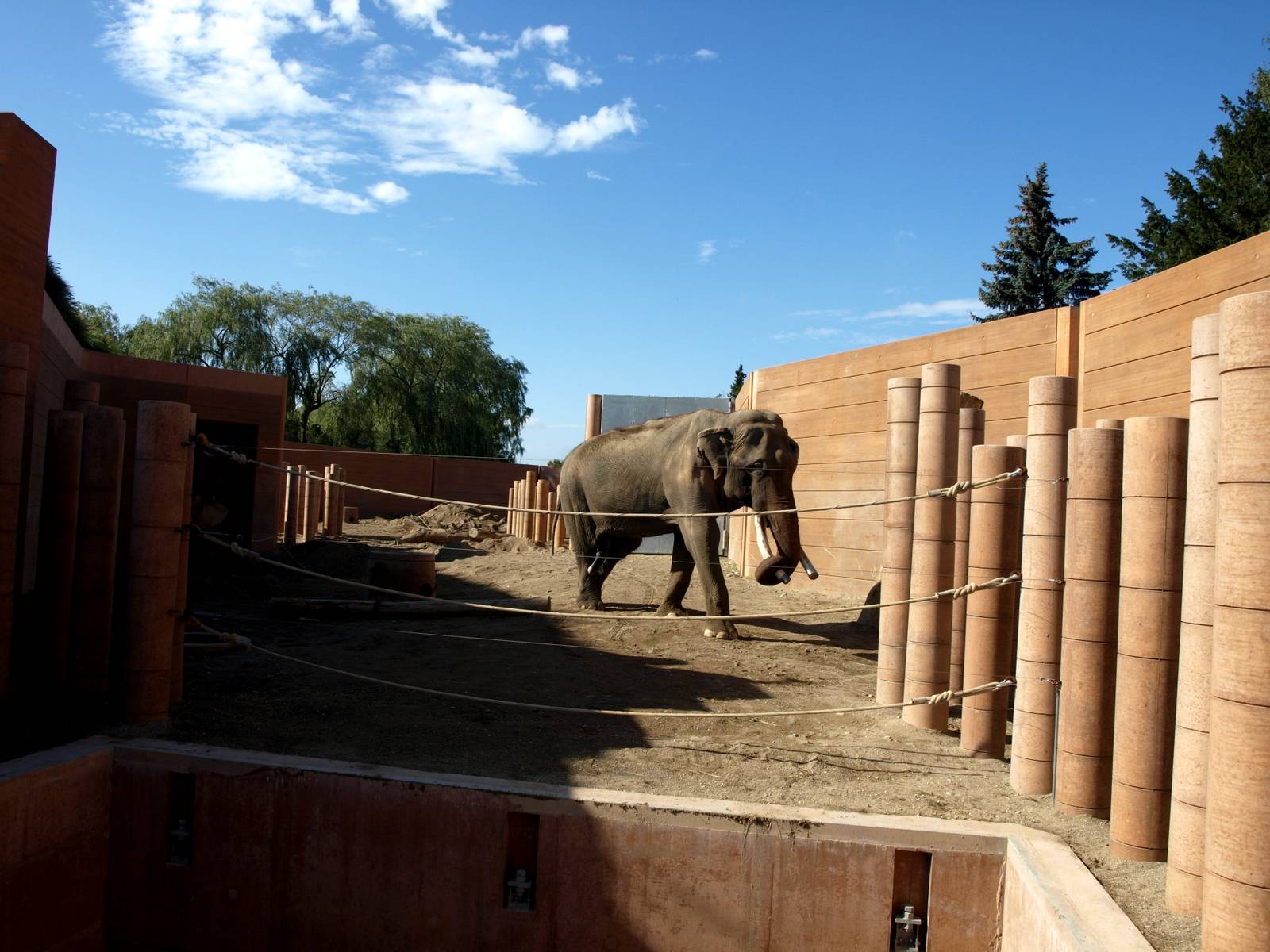 Copenhagen Zoo - Elephant Enclosure
