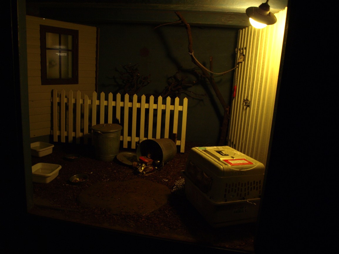 Copenhagen Zoo - Oppossum exhibit