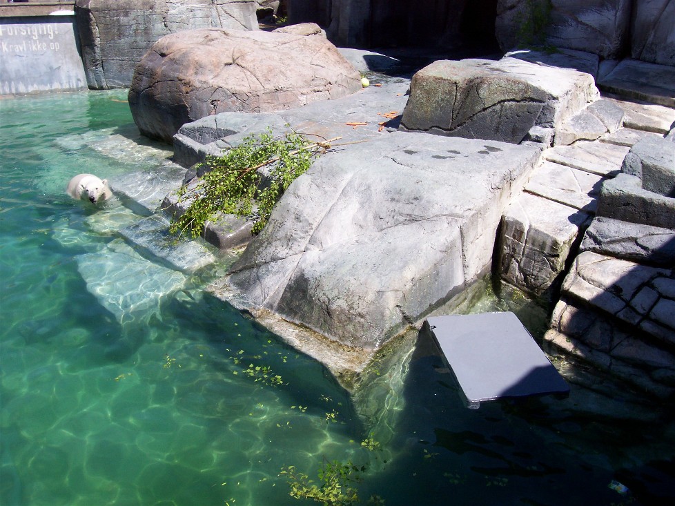 Copenhagen Zoo - Polar bear exhibit