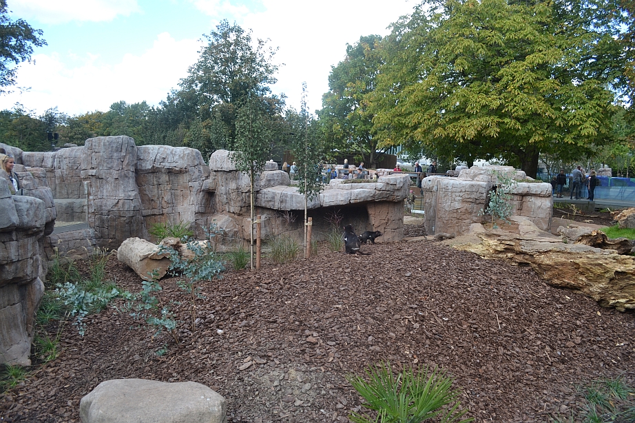 Copenhagen Zoo, Sep. 27th 2015