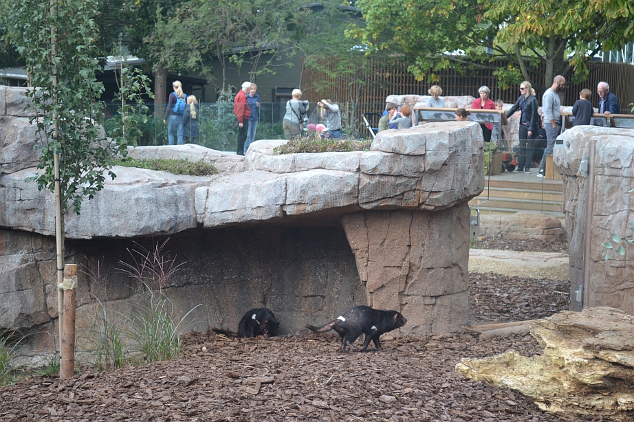 Copenhagen Zoo, Sep. 27th 2015