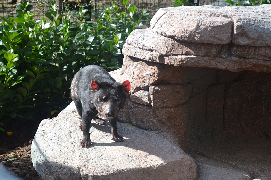 Copenhagen Zoo, Sep. 27th 2015
