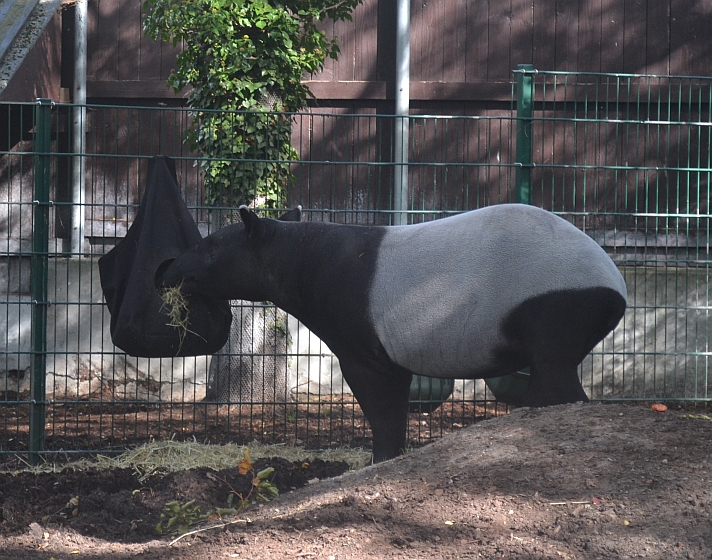 Copenhagen Zoo, Sep. 27th 2015