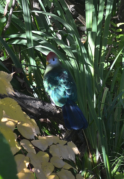 Copenhagen Zoo, Sep. 27th 2015