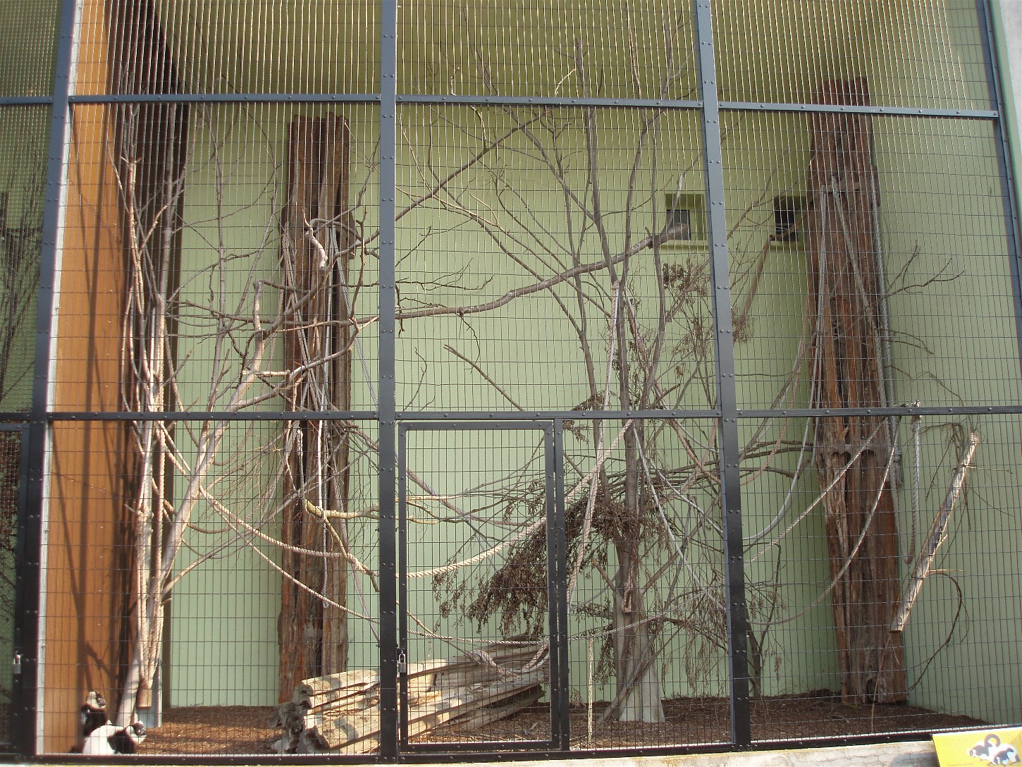 Copenhagen Zoo - World of Primates