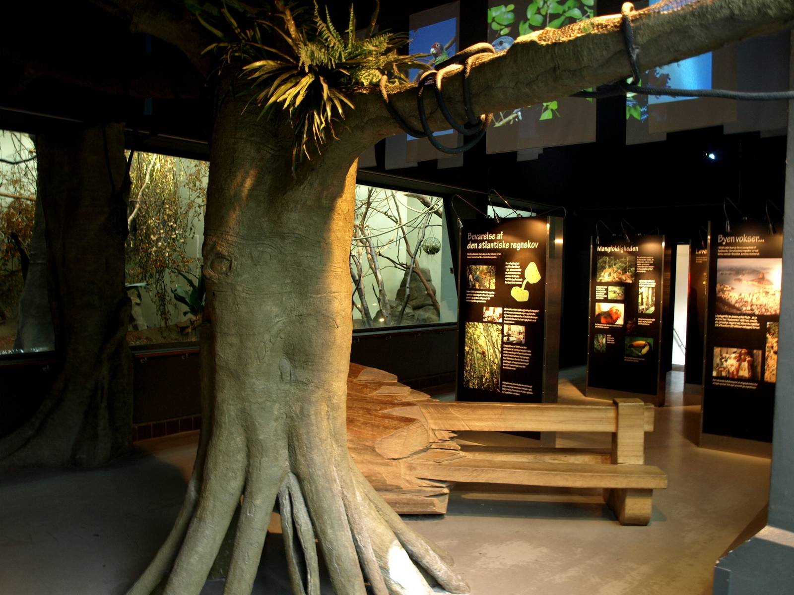 Copenhagen Zoo - World of Primates