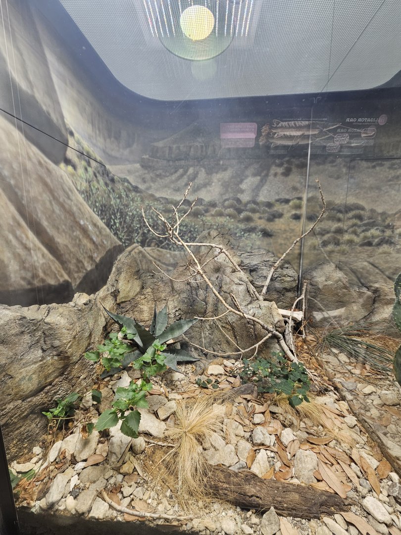 Copperhead Exhibit