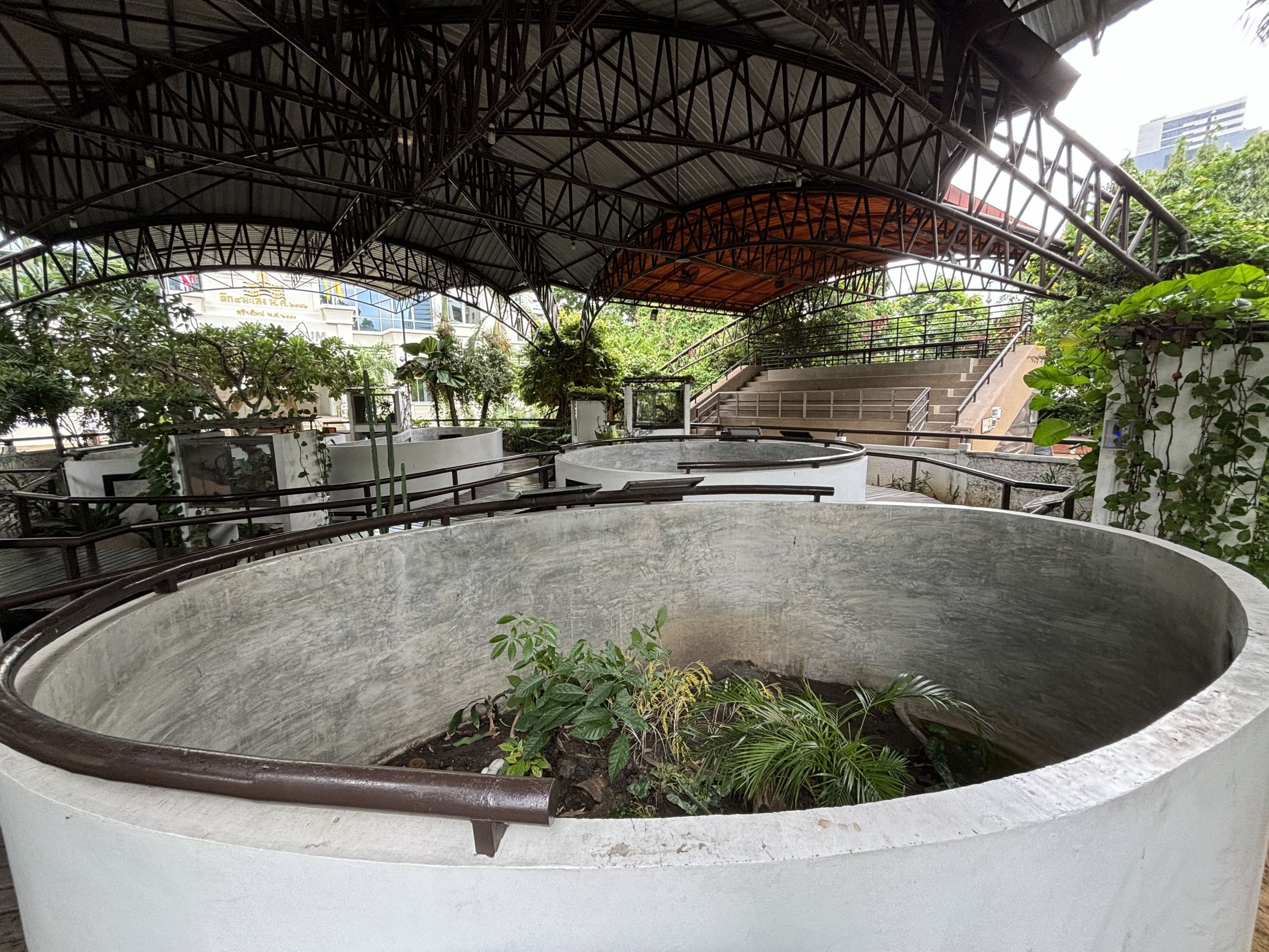 Copperhead Rat Snake Exhibit