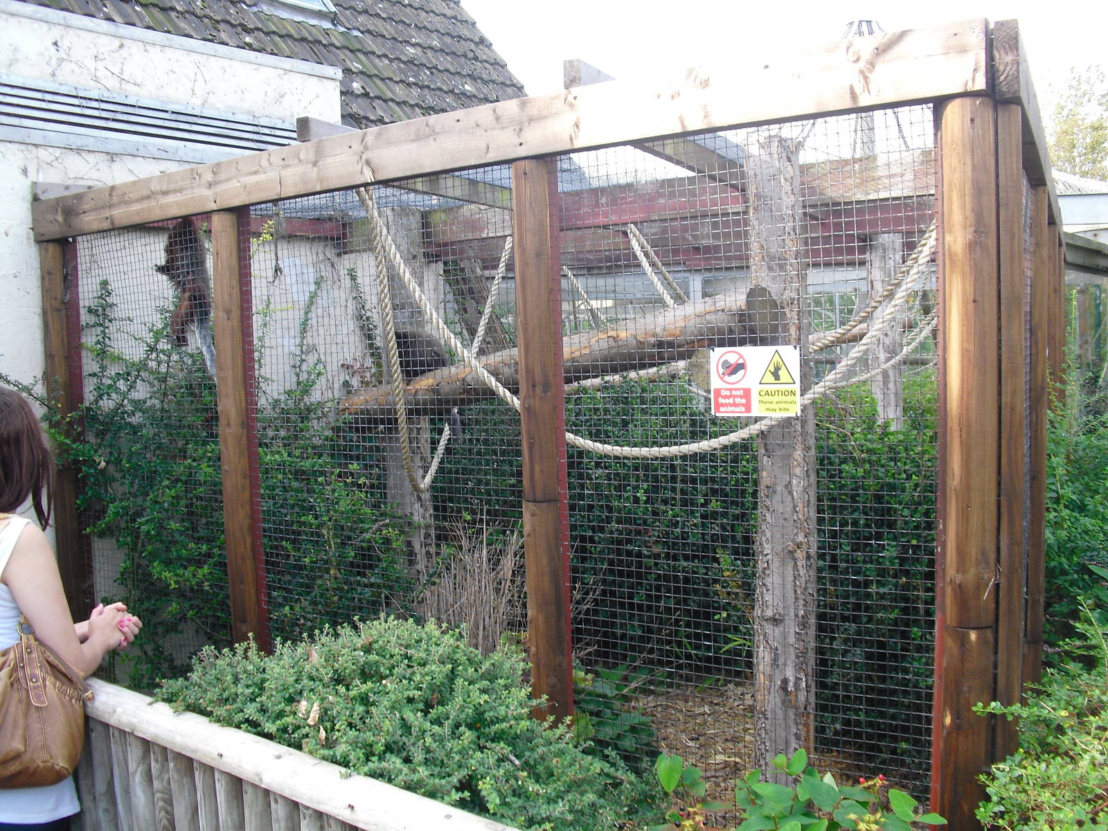 Coppery Titi Enclosure - 01/10/2011