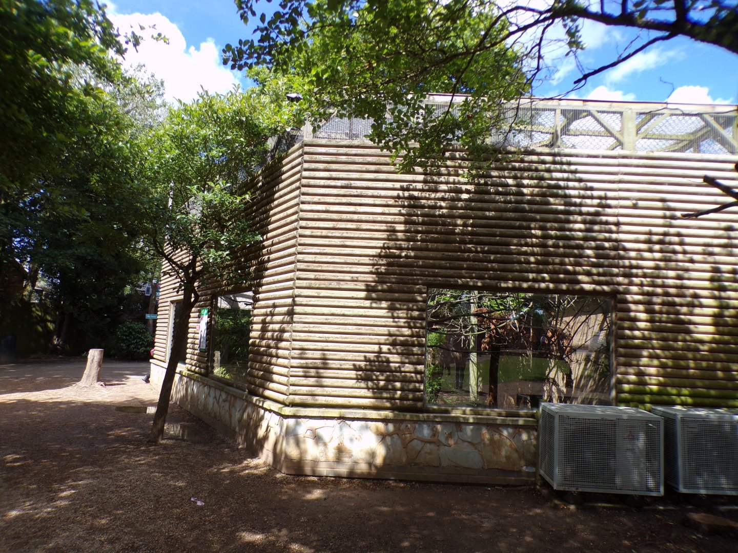 Coppery titi enclosure 7.7.24