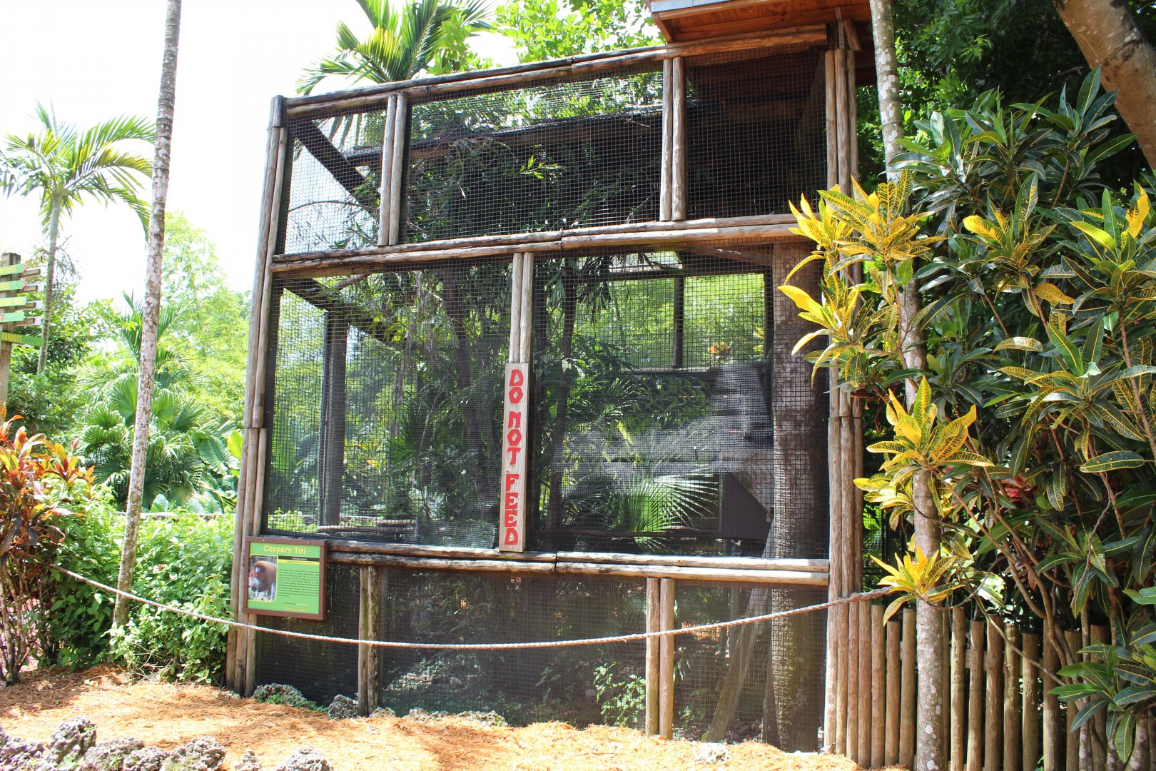Coppery Titi Exhibit