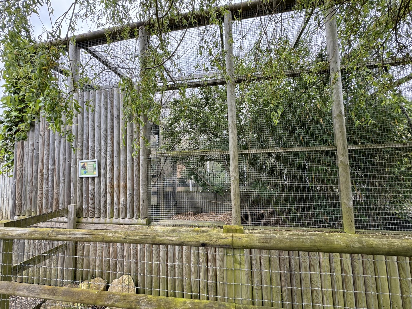 Coppery Titi Monkey Enclosure at Woodside Wildlife Park (May 2024)