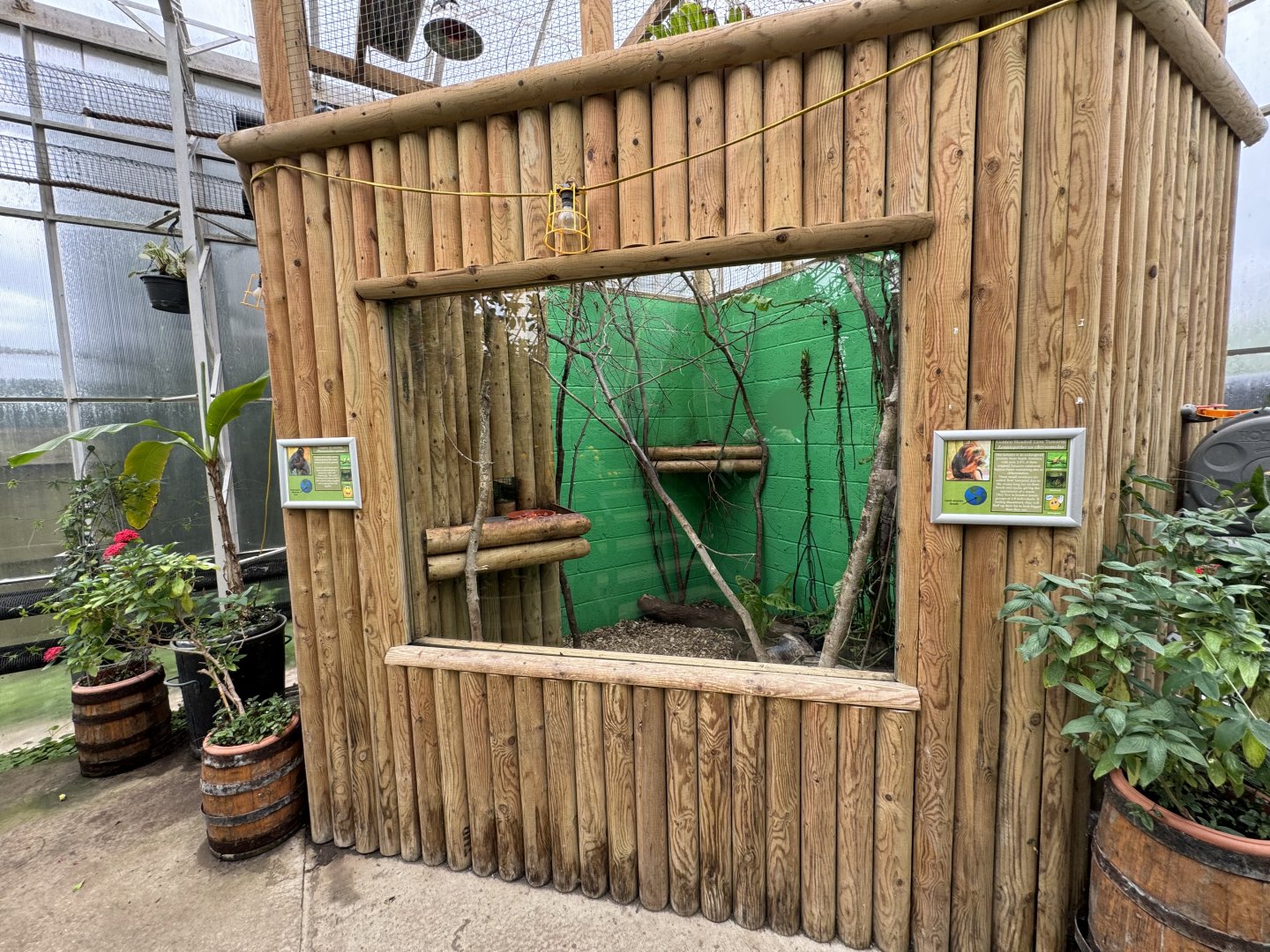 Coppery Titi Monkey / Golden-headed Lion Tamarin Indoor Enclosure at Woodside Wildlife Park (May 2024)