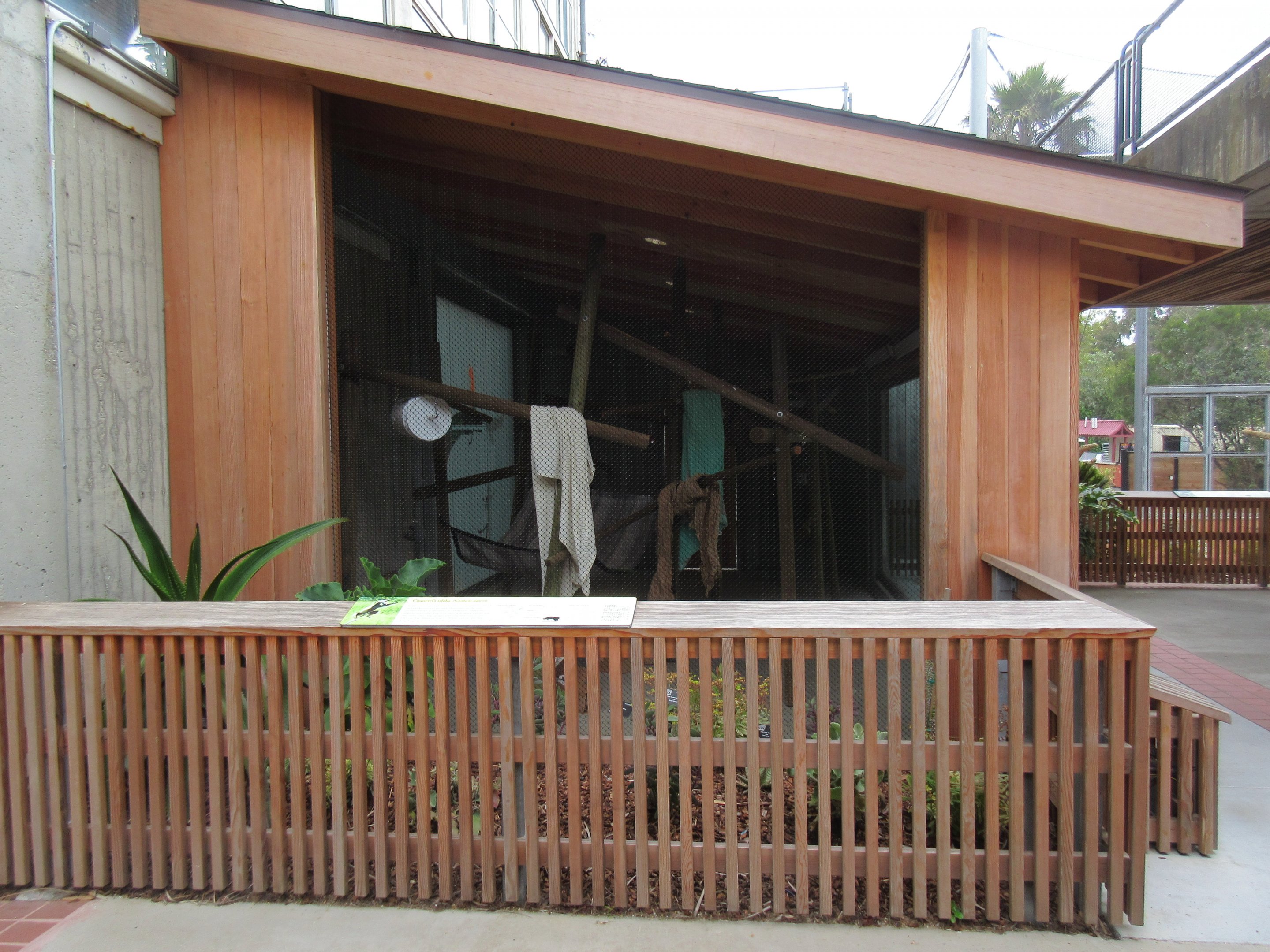 Coquerel's Sifaka Exhibit (New in 2016)