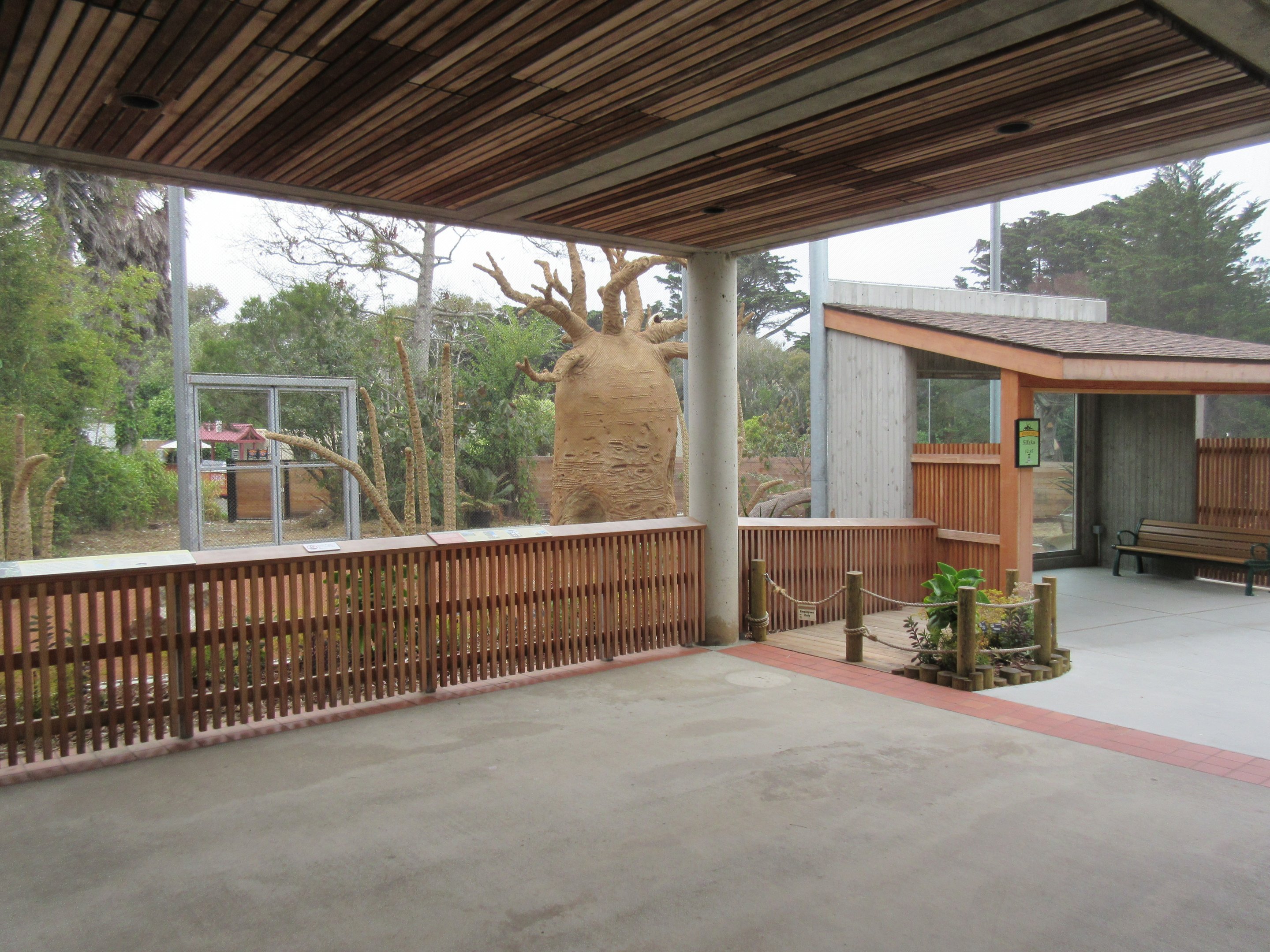 Coquerel's Sifaka Exhibit (New in 2016)