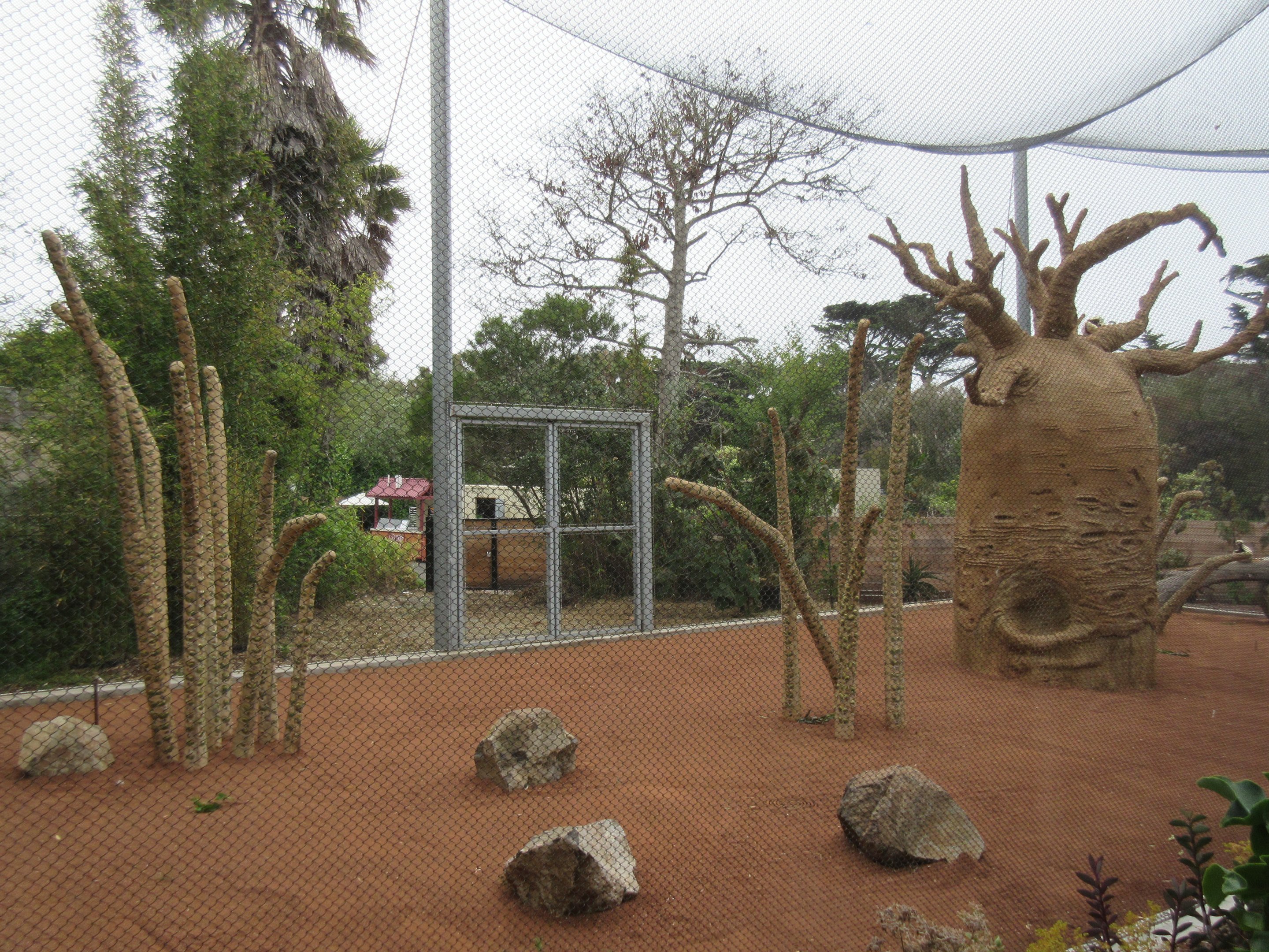 Coquerel's Sifaka Exhibit (New in 2016)