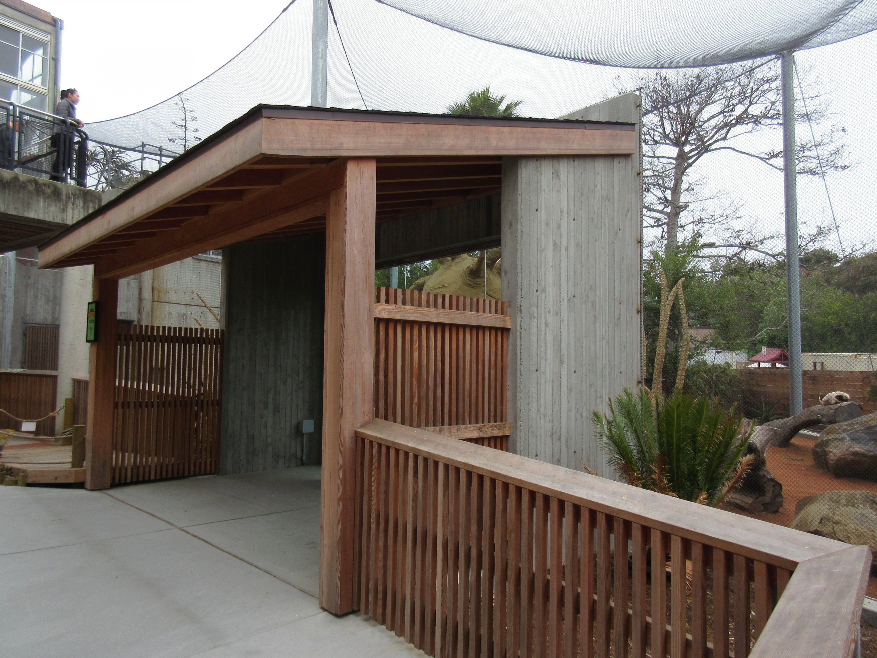 Coquerel's Sifaka Exhibit (New in 2016)