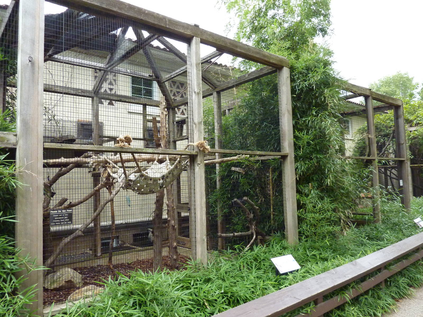 Coquerel's Sifaka Exhibit