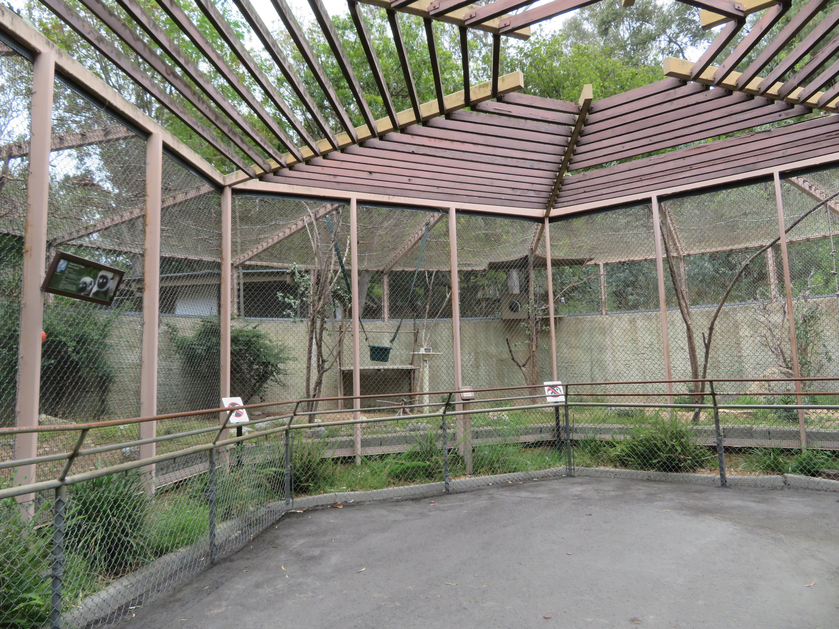 Coquerel's Sifaka Roundhouse