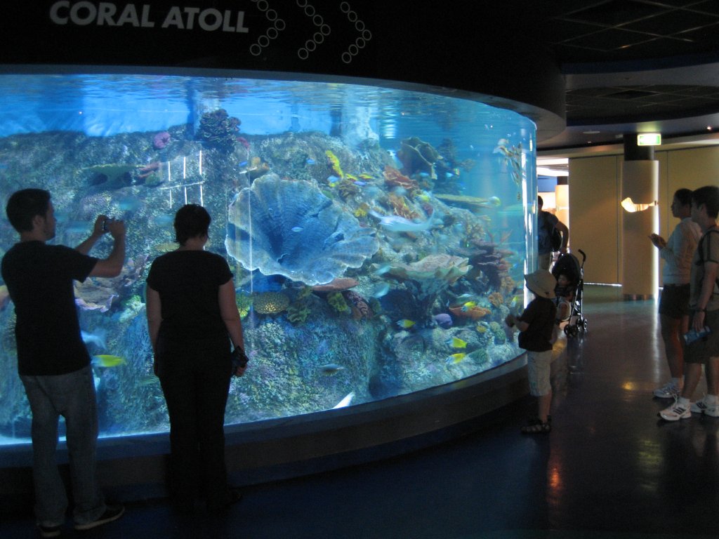 Coral Atoll Tank