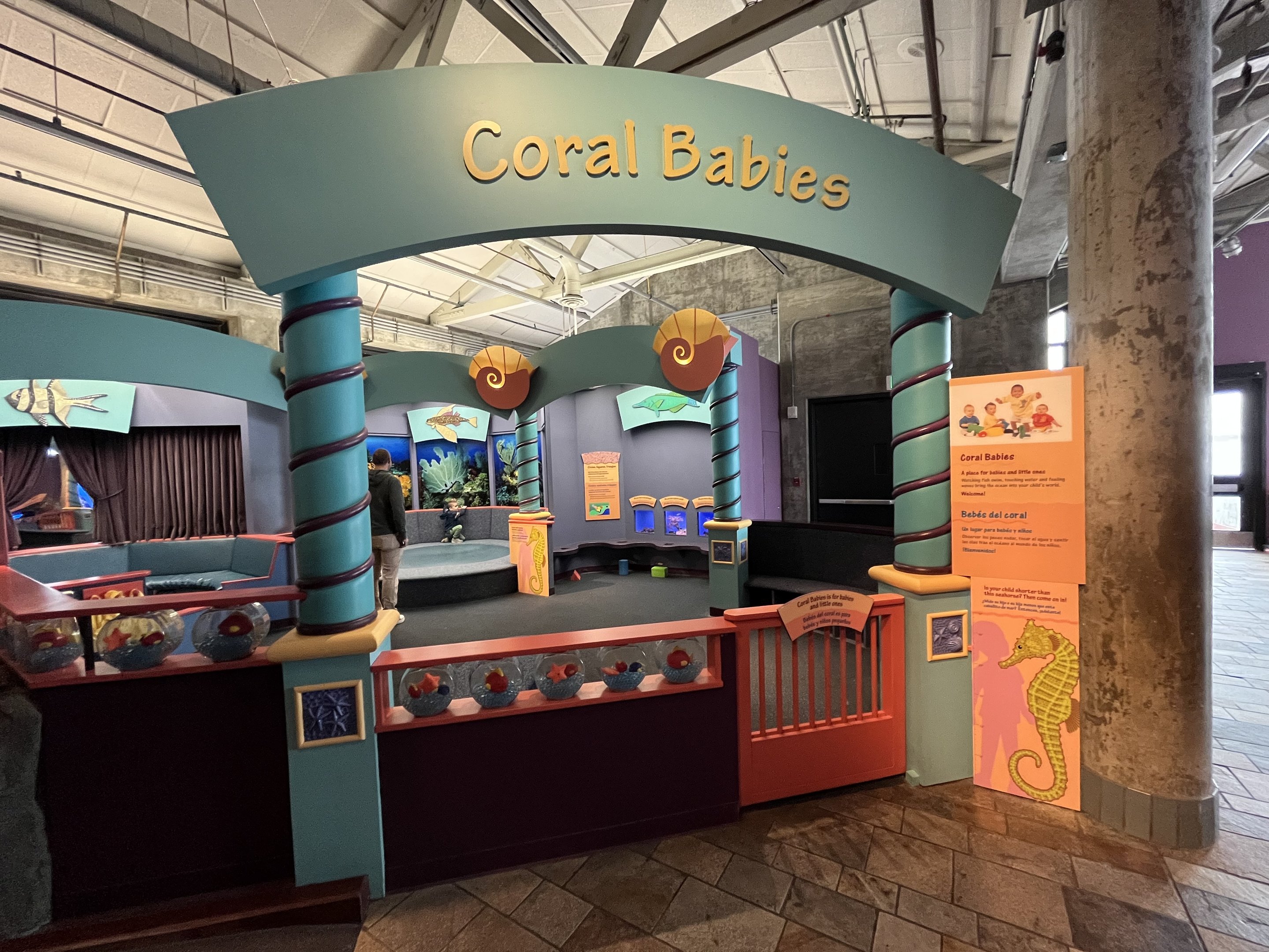 Coral Babies - Entrance
