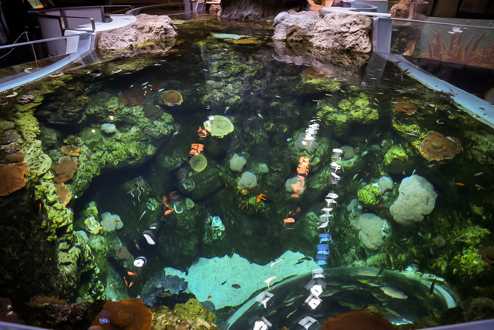 'Coral Canyon' Deep End (Archipelago)