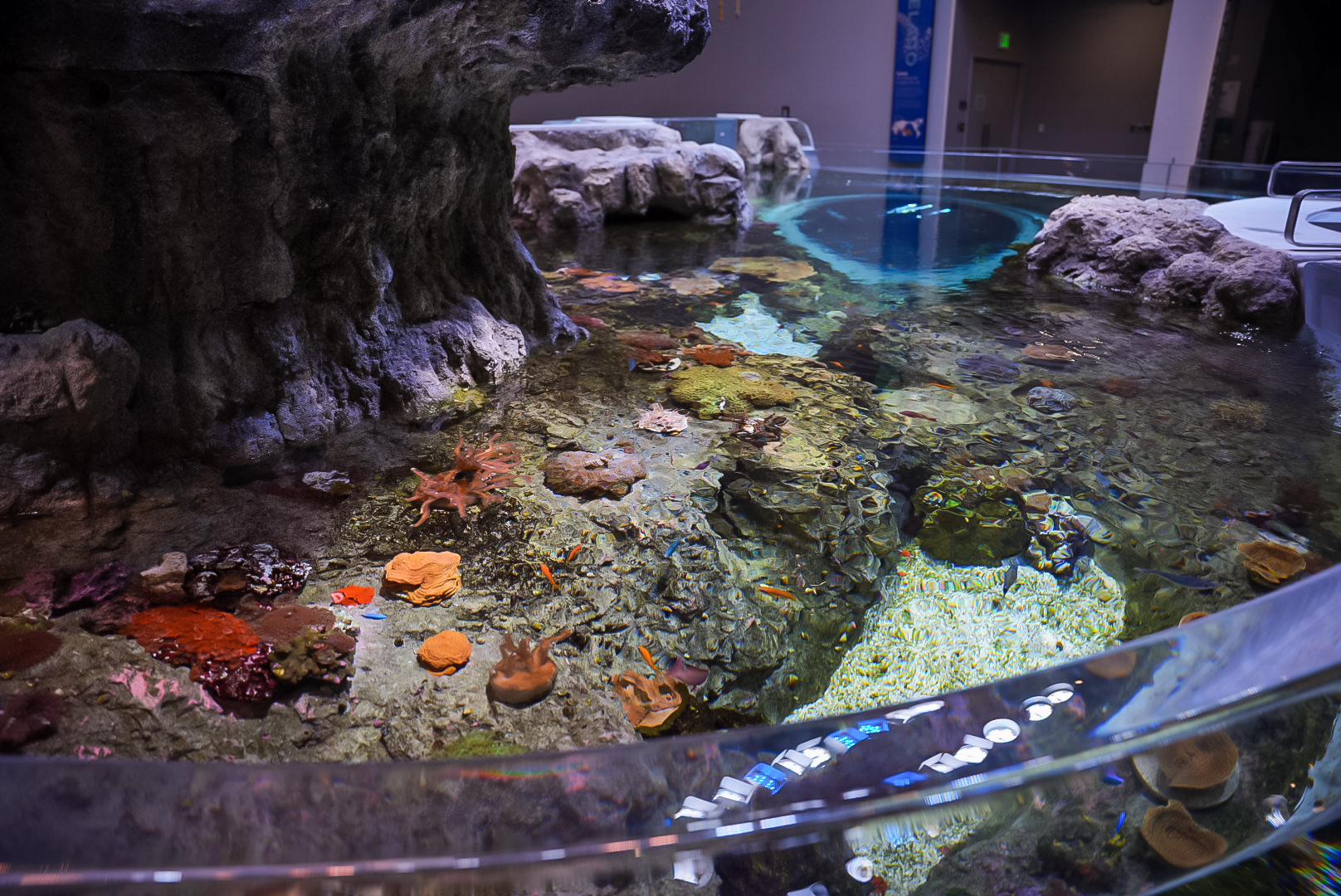 'Coral Canyon' Shallow End (Archipelago)