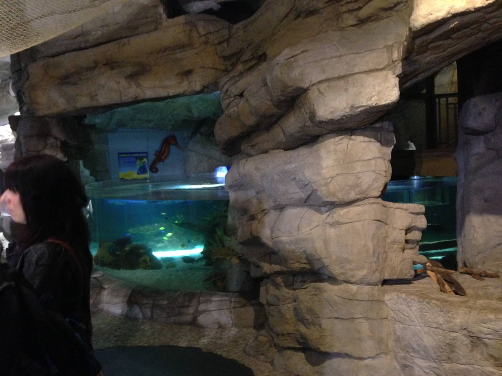 Coral Cave at Blue Planet Aquarium - 05/10/2013