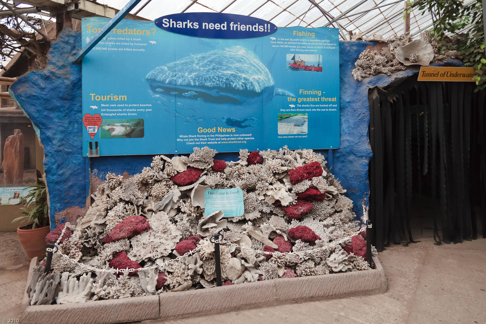 Coral Exhibit - Closing Day - 05/09/2010