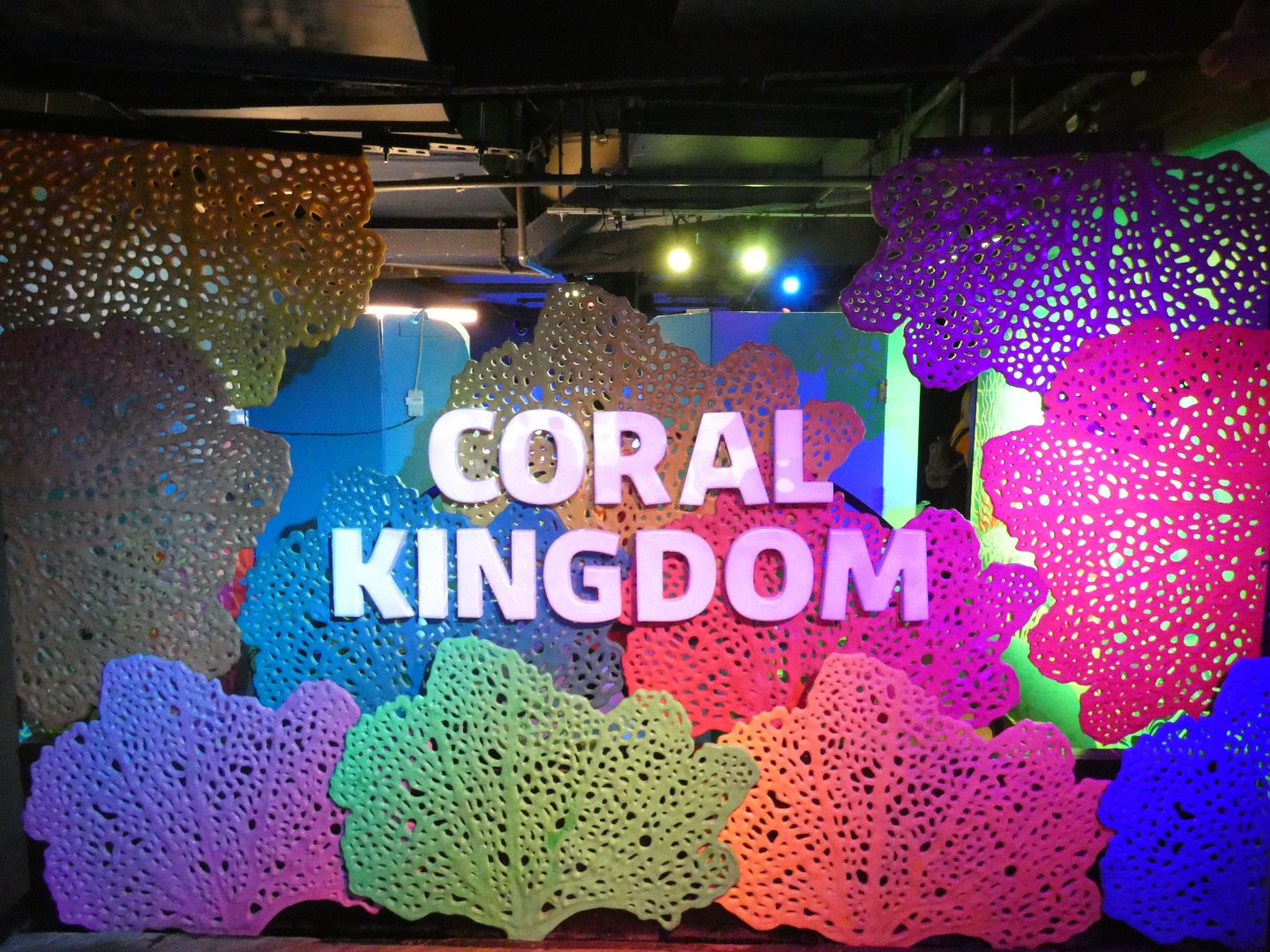 Coral kingdom entrance signage