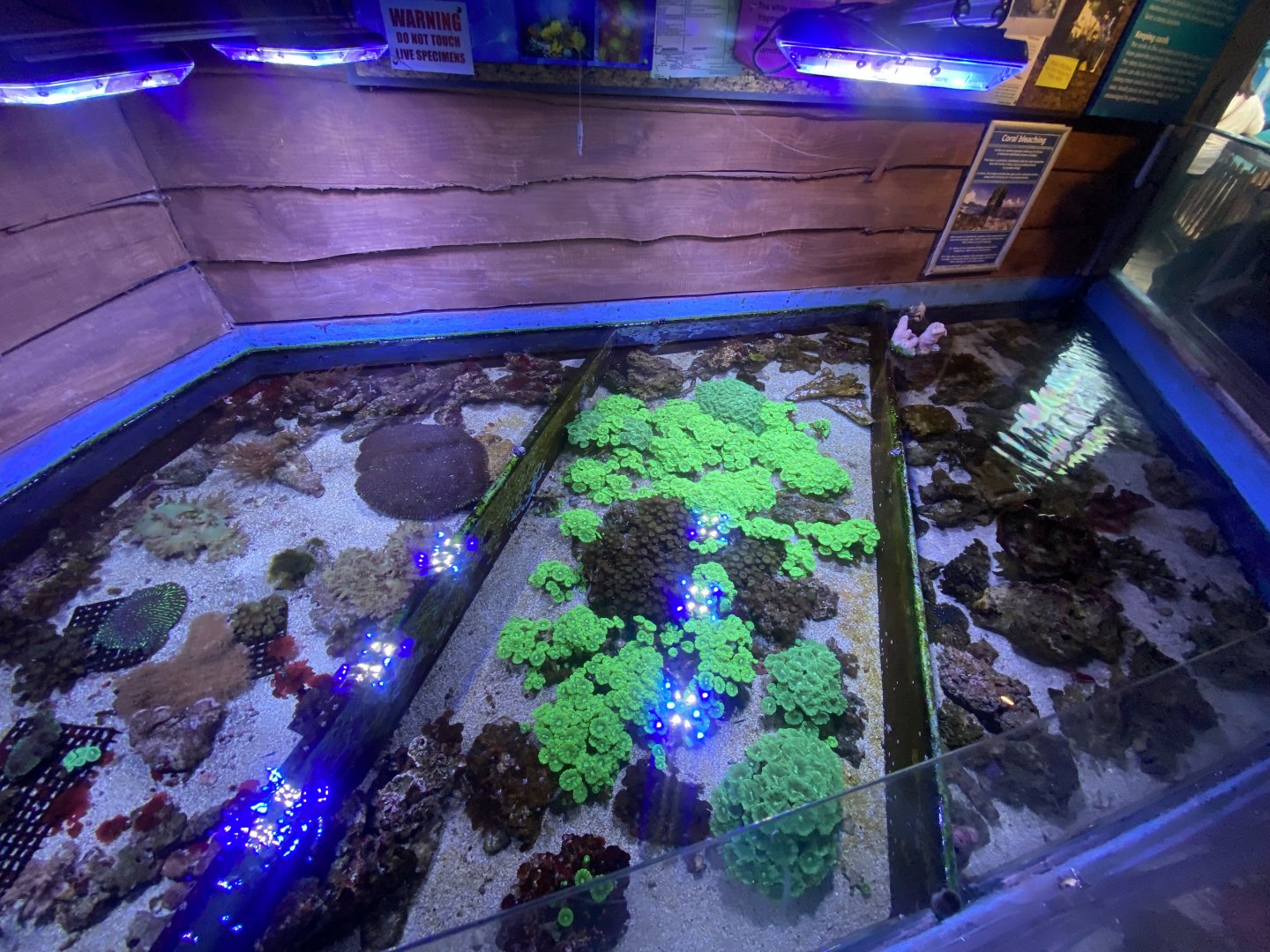 Coral Nursery 070124