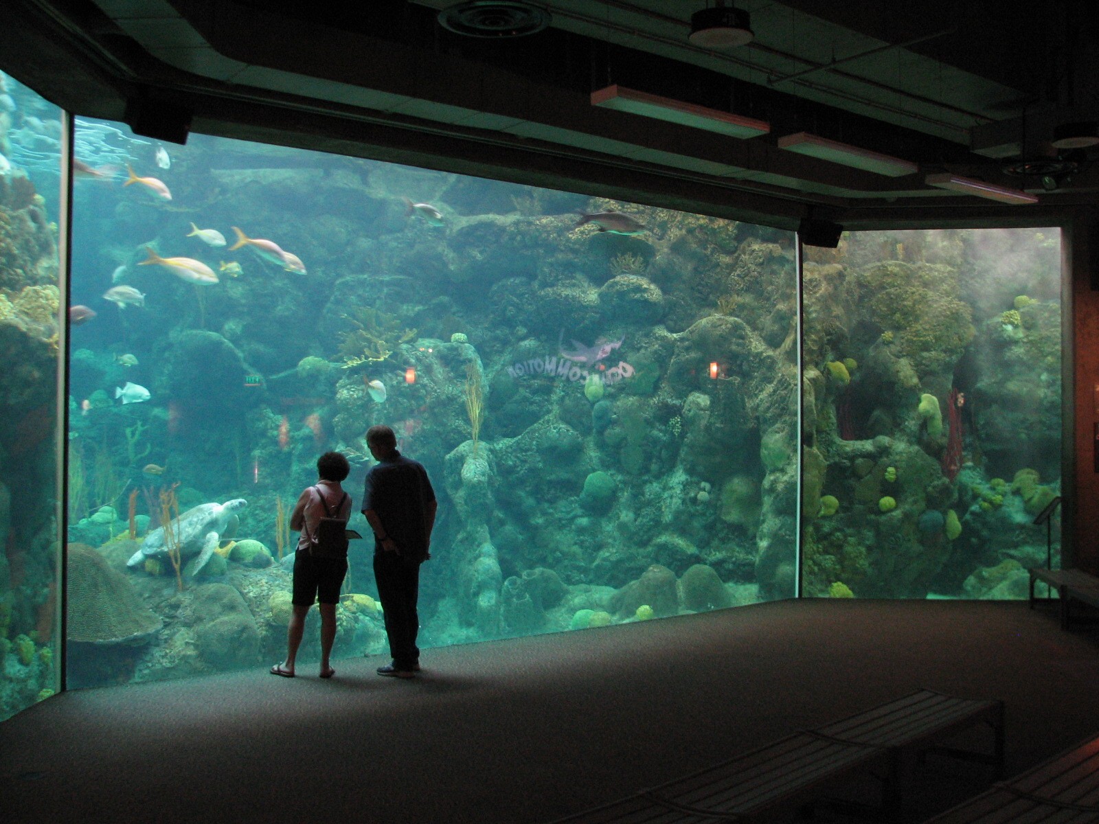 Coral Reef Aquarium
