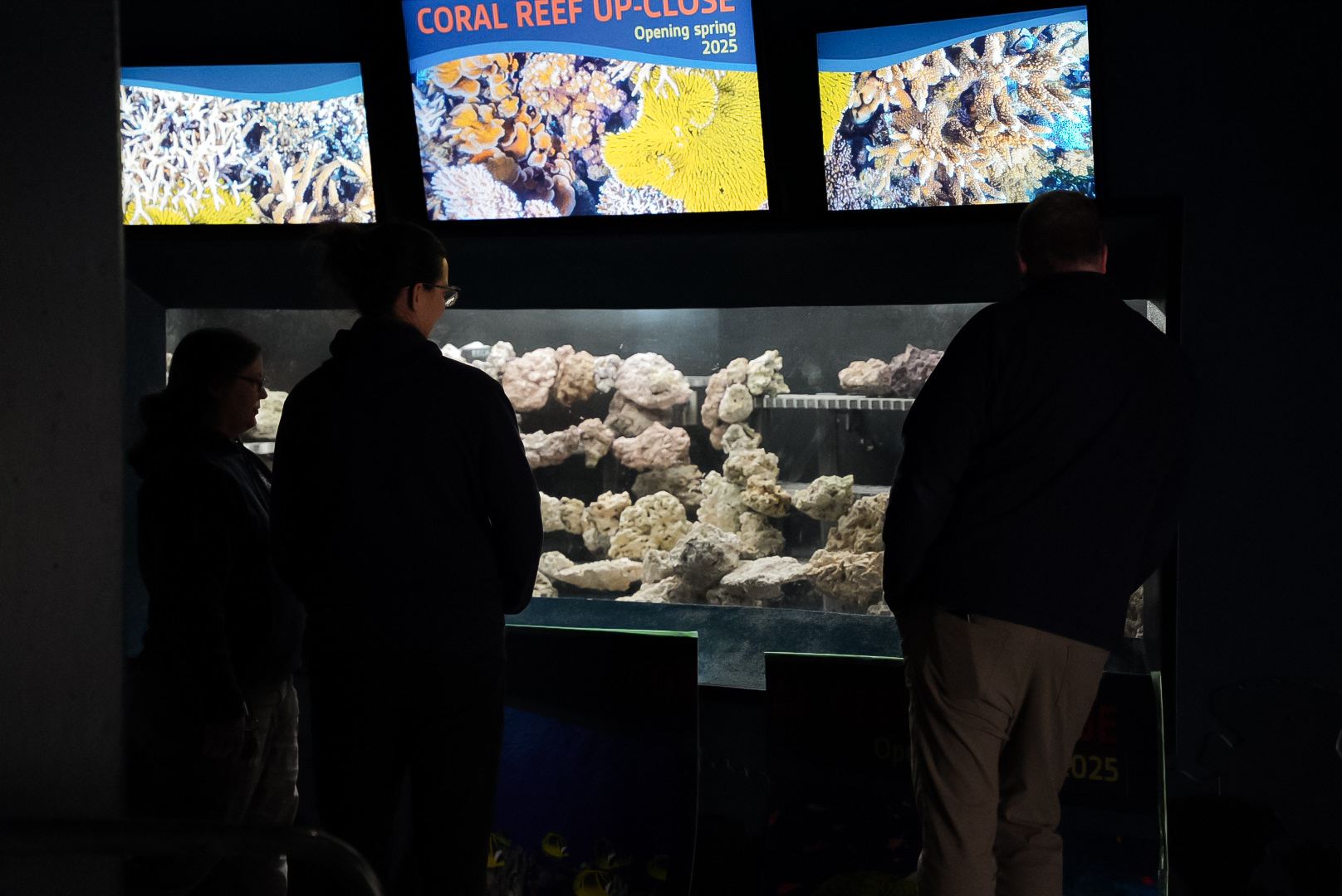 'Coral Reef Close-up' Sneak Peek