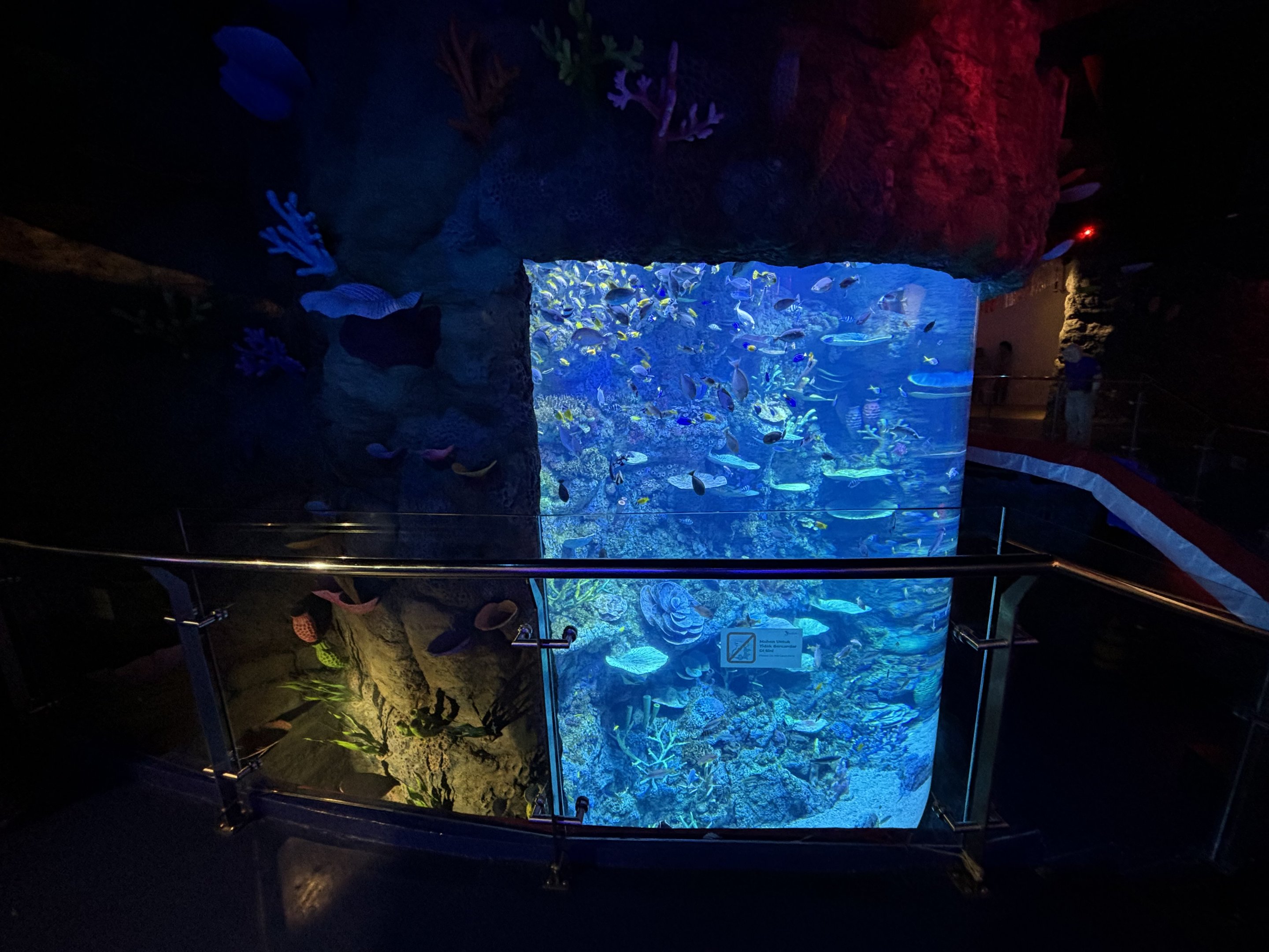 Coral Reef Exhibit - BXSea Aquarium