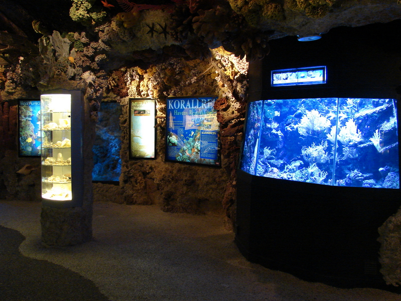 Coral Reef Exhibit