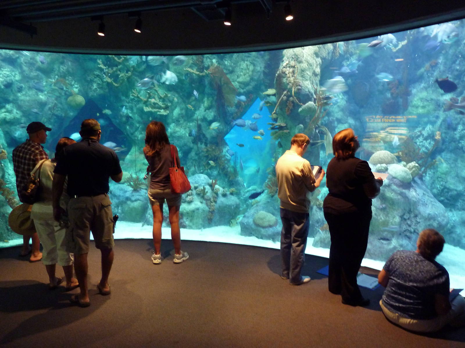 Coral Reef Exhibit