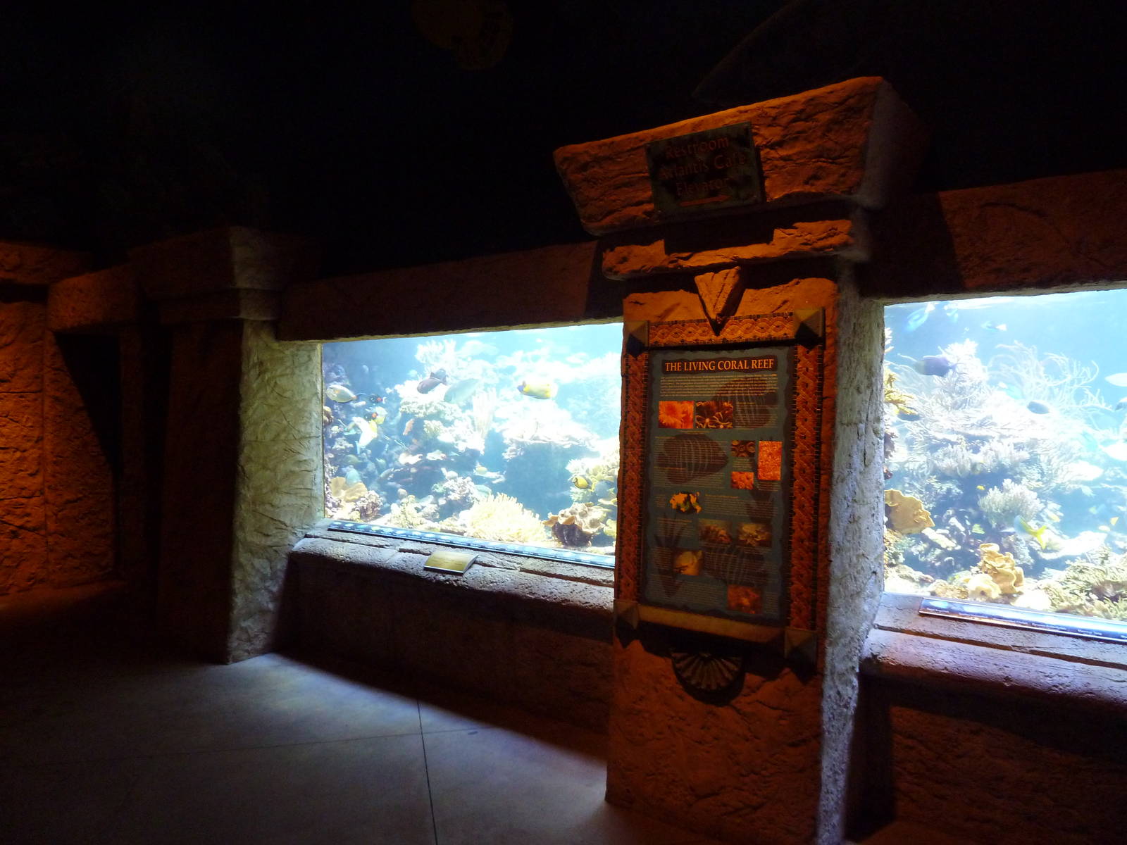 Coral Reef Exhibit