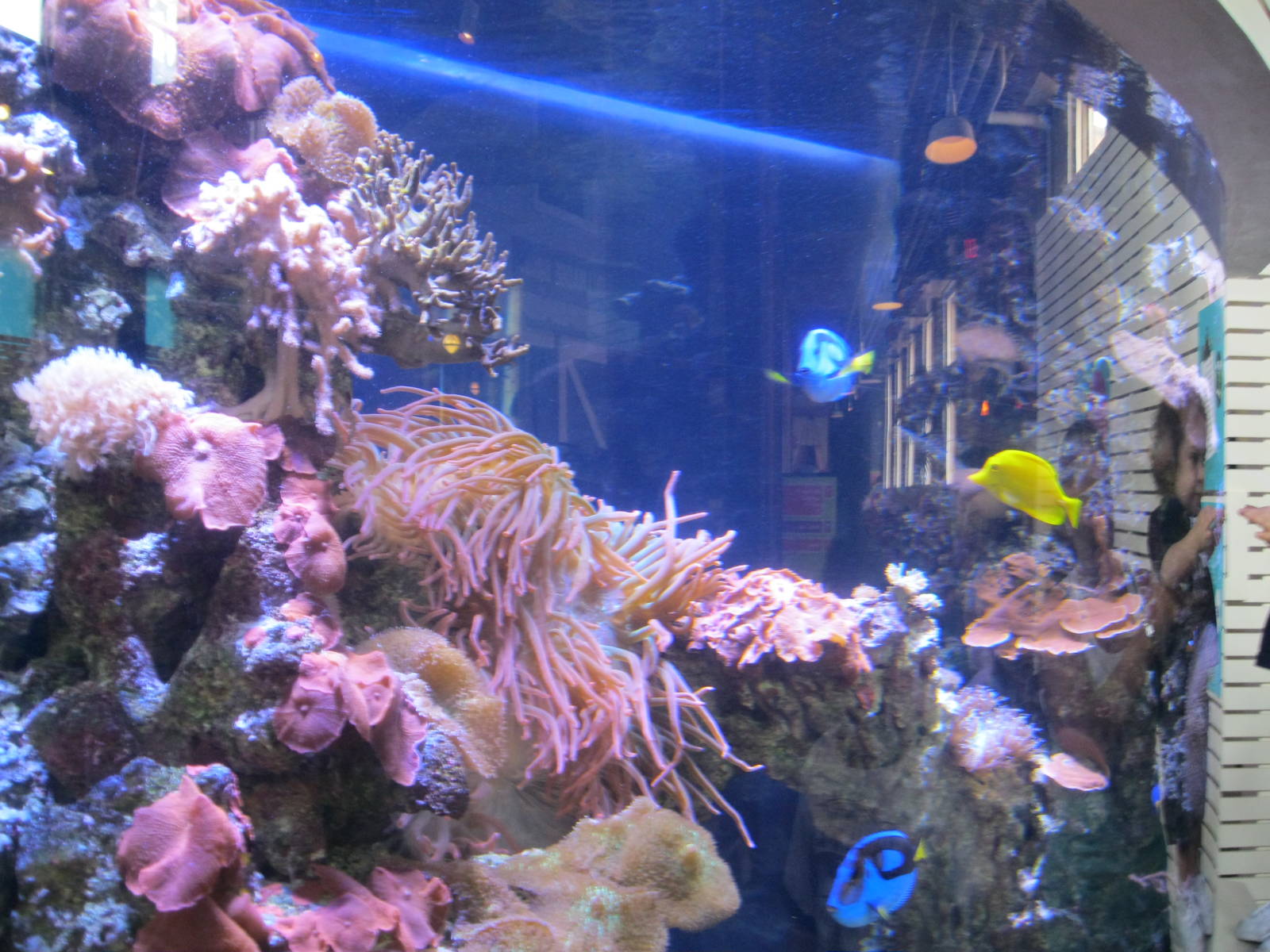 Coral Reef Exhibit