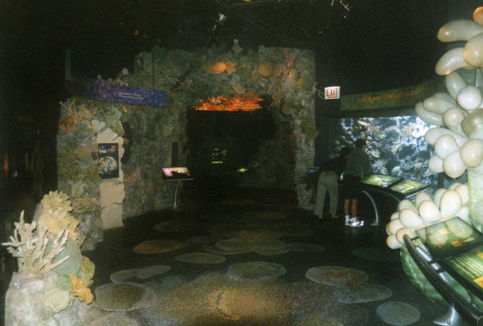Coral reef exhibit