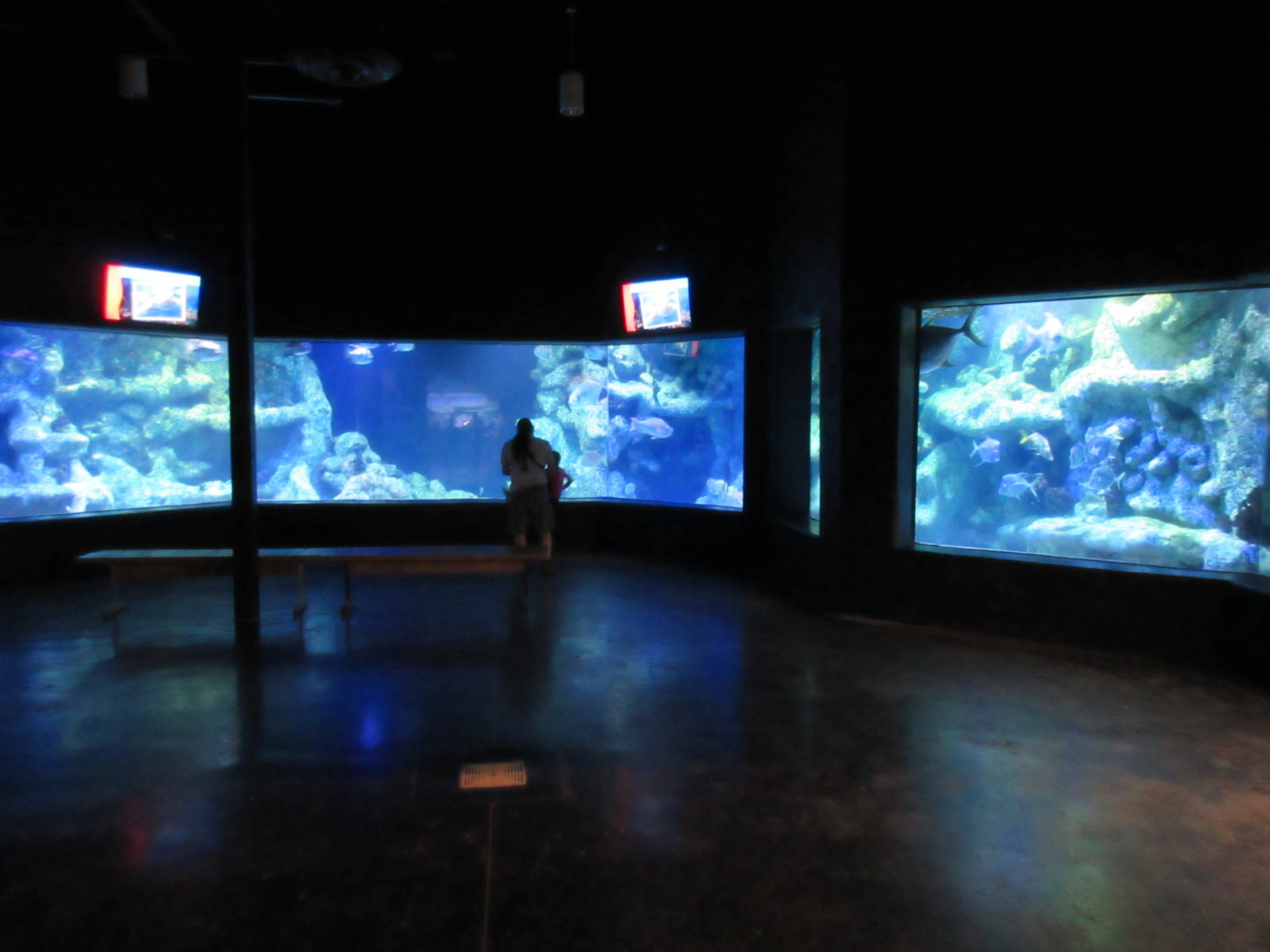Coral Reef Exhibit