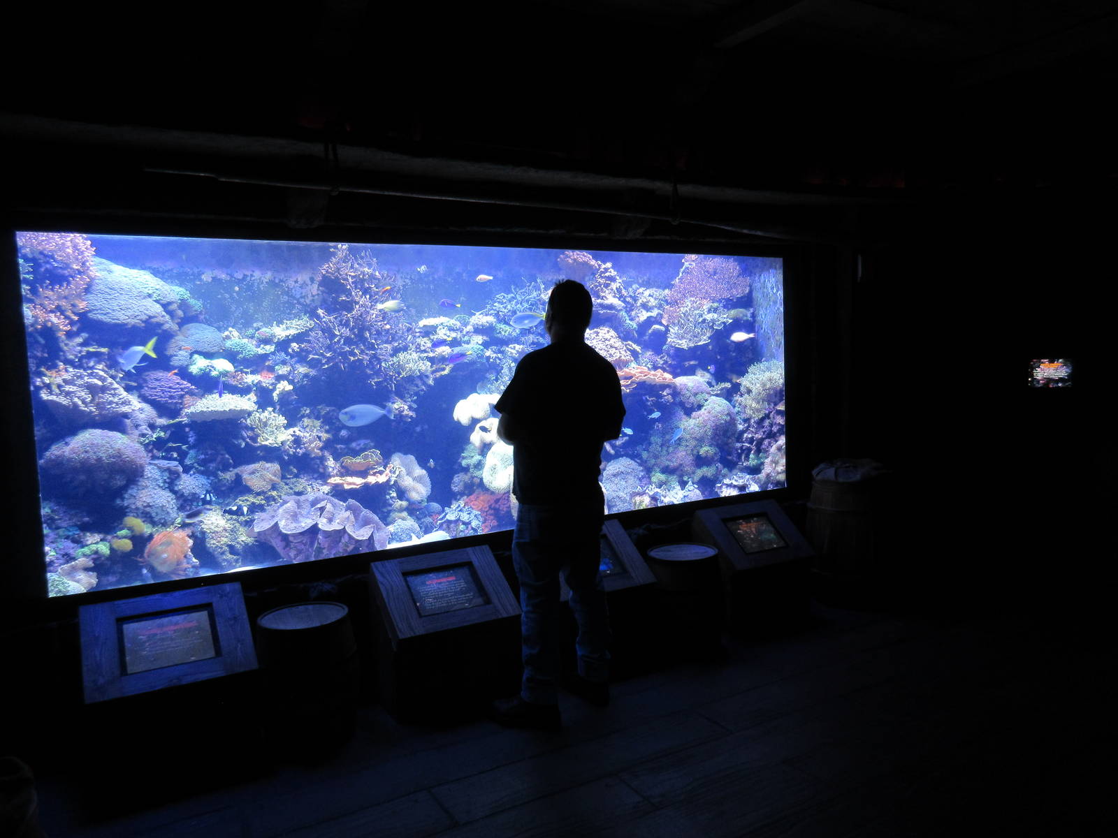 Coral Reef Exhibit