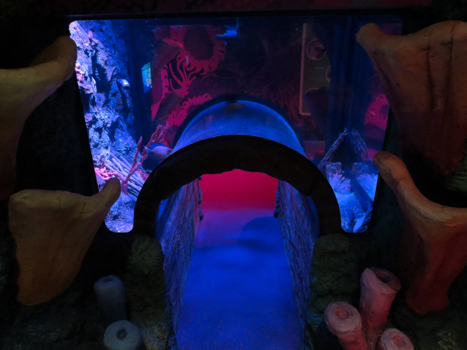 Coral Reef - Exhibit