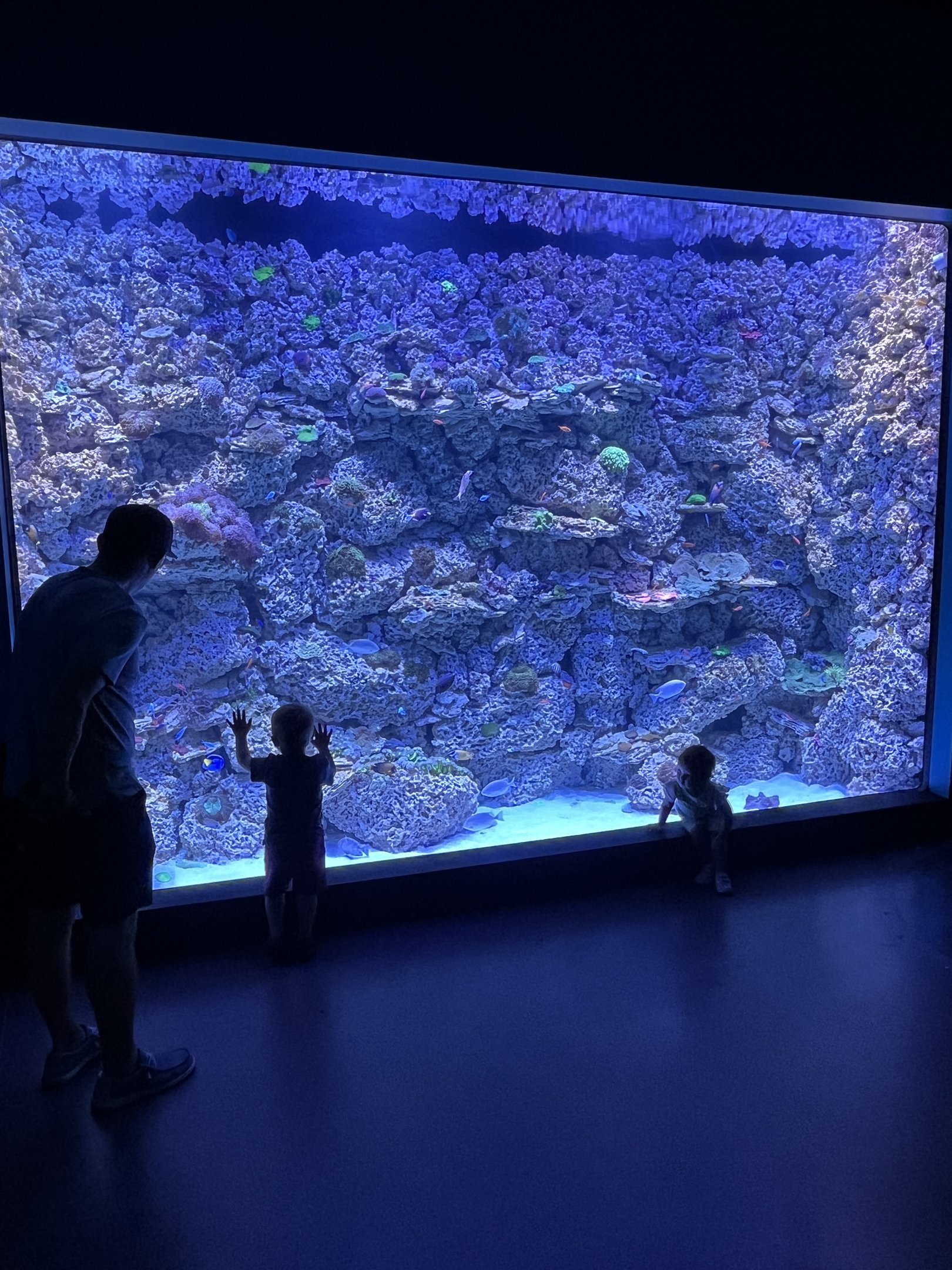 Coral Reef Exhibit