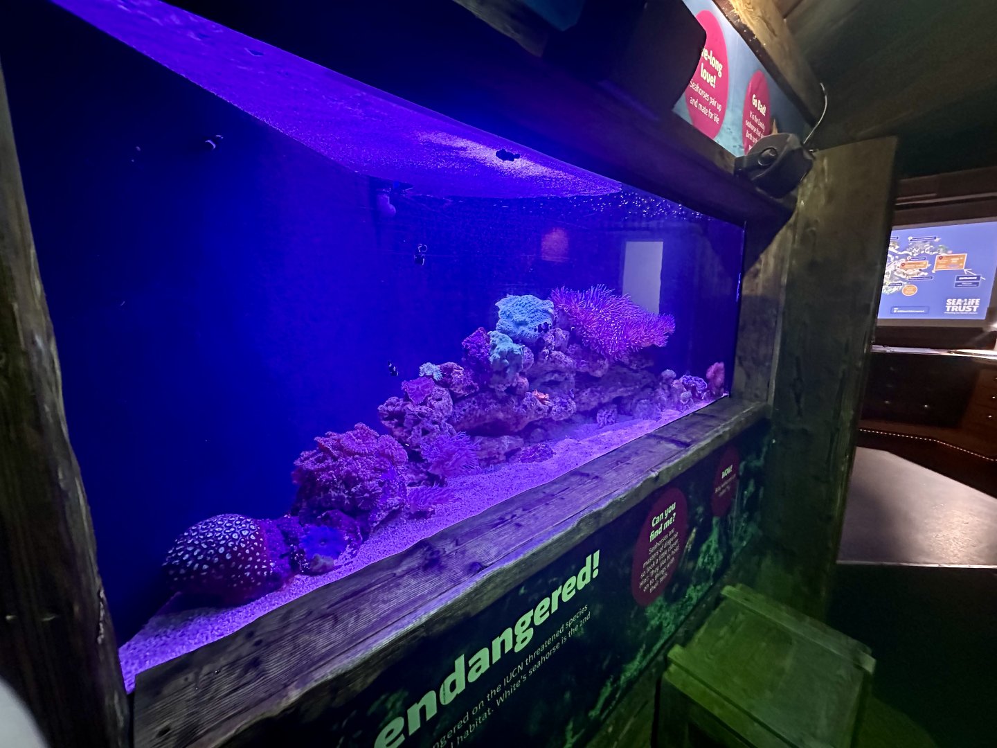 Coral Reef Exhibit