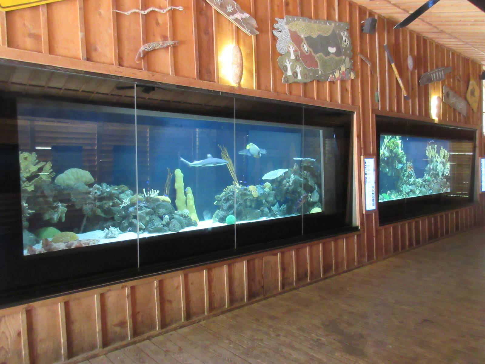 Coral Reef Exhibits